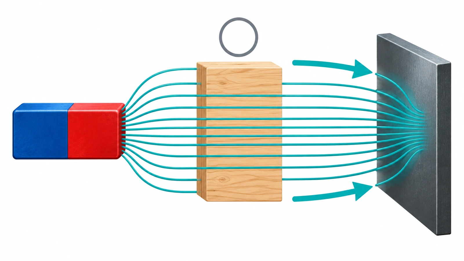 Schema che mostra le linee di campo di un magnete che attraversano direttamente un blocco di legno fino a una piastra d'acciaio, senza che il legno ne sia influenzato