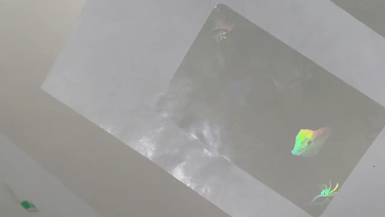 Overlay olografico trasparente per Australia Occidentale | Film WA: guida video